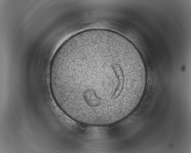 X0000116100950200912140954