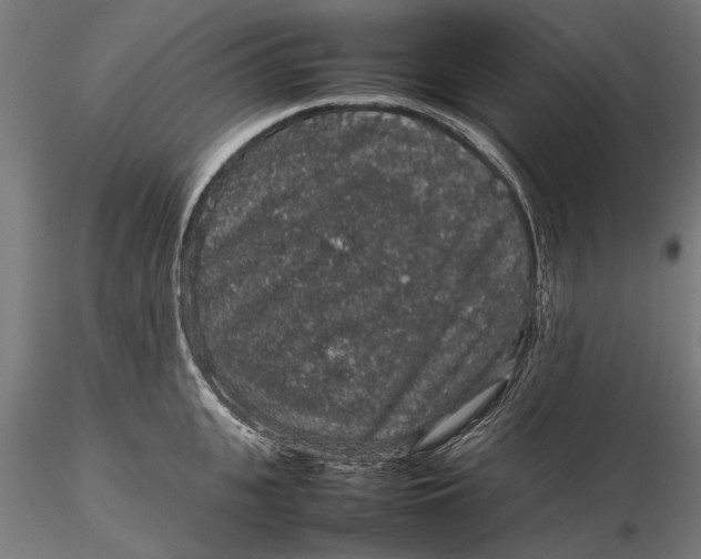 X0000116100951200912140954