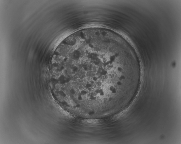 X0000116100953200912140954