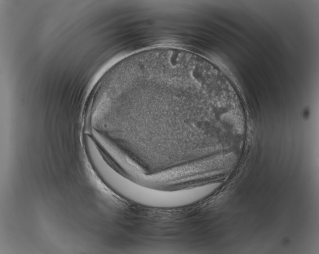 X0000116100955200912140954