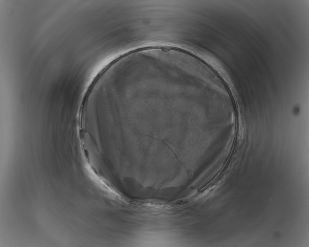 X0000116100958200912140954