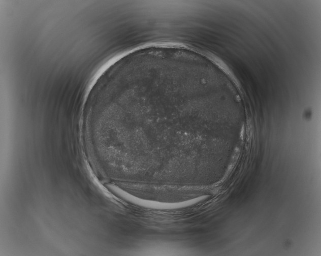 X0000116100959200912140954