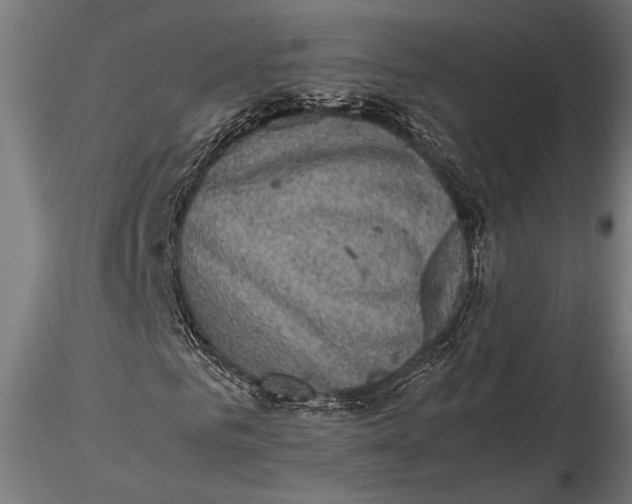 X0000116100961200912140953