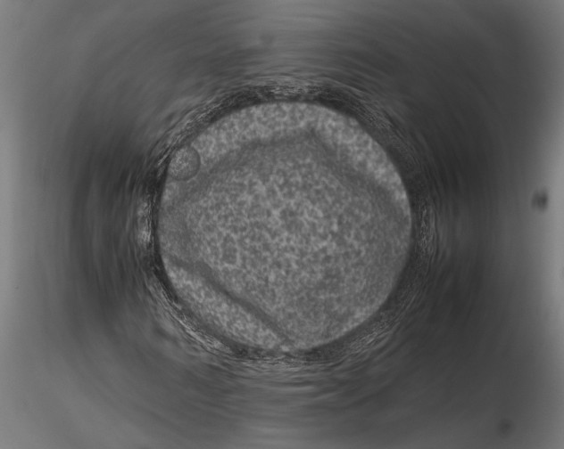 X0000116100962200912140953