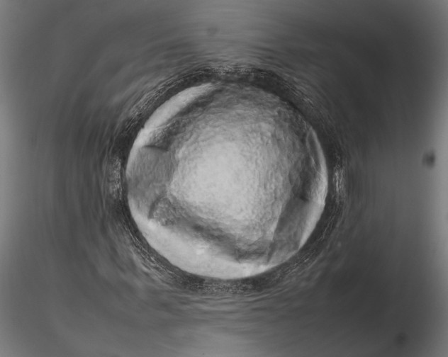 X0000116100963200912140953