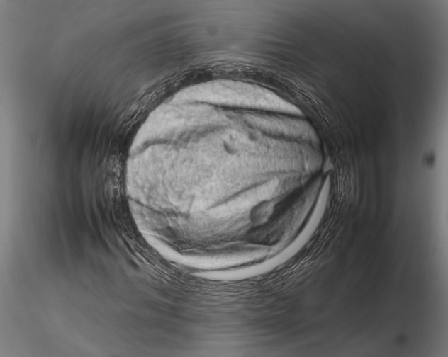 X0000116100964200912140953