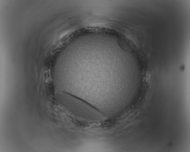 X0000116100965200912140953