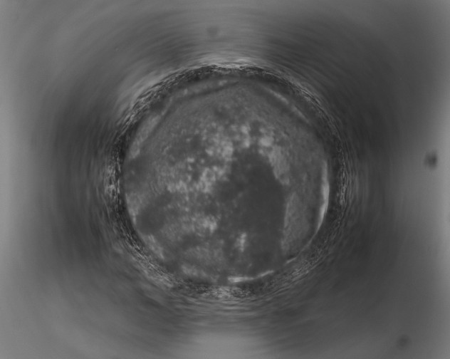 X0000116100966200912140953