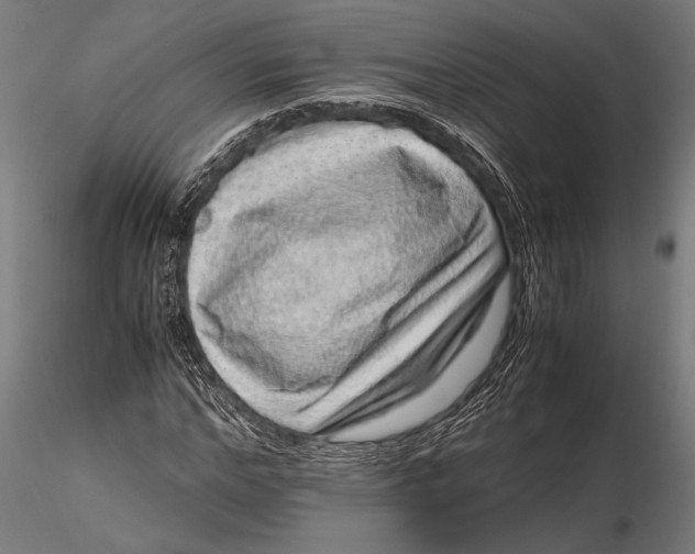 X0000116100968200912140953