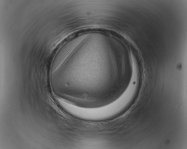 X0000116100969200912140953