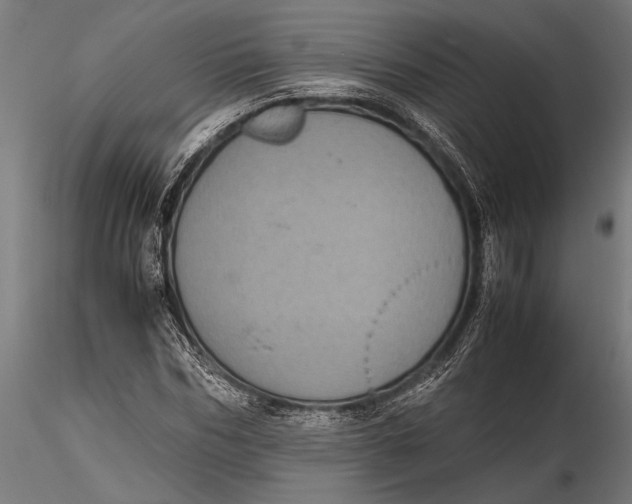 X0000116100970200912140953