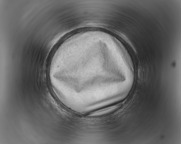 X0000116100972200912140953