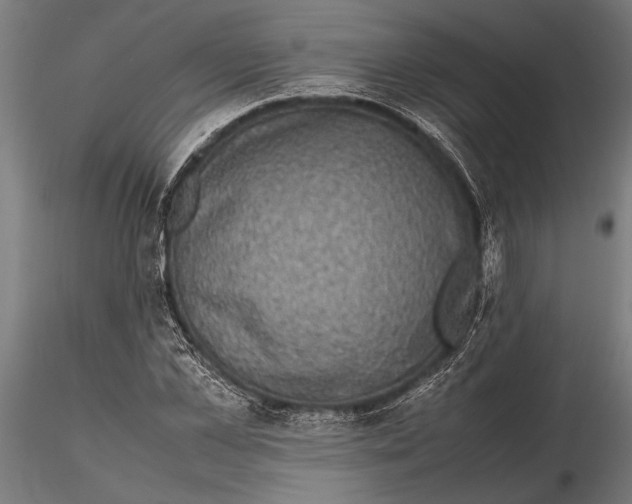 X0000116100973200912140953