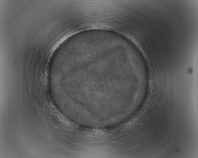 X0000116100975200912140953