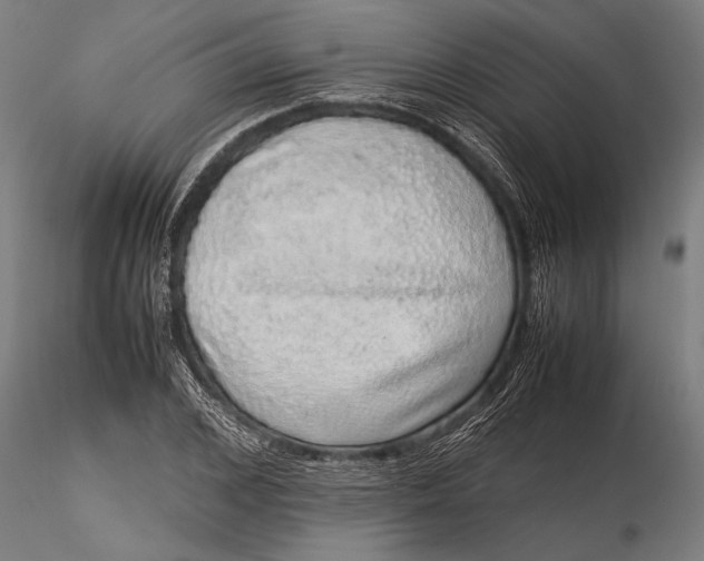 X0000116100976200912140953