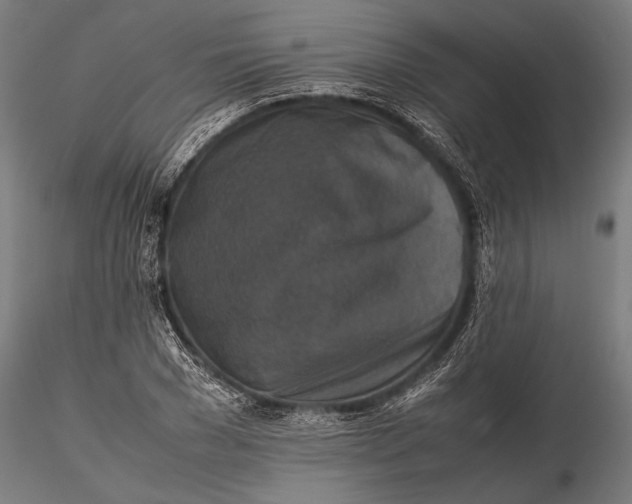 X0000116100977200912140953