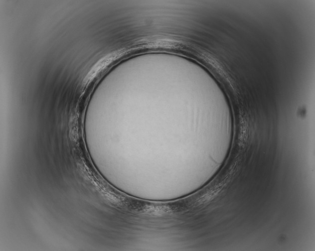 X0000116100978200912140953