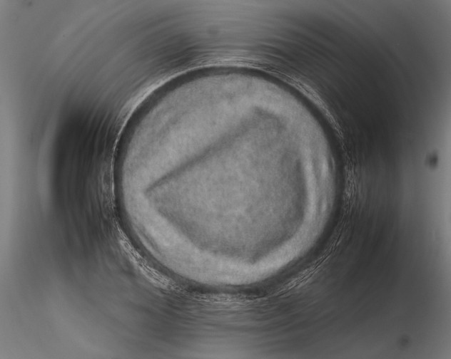 X0000116100980200912140953