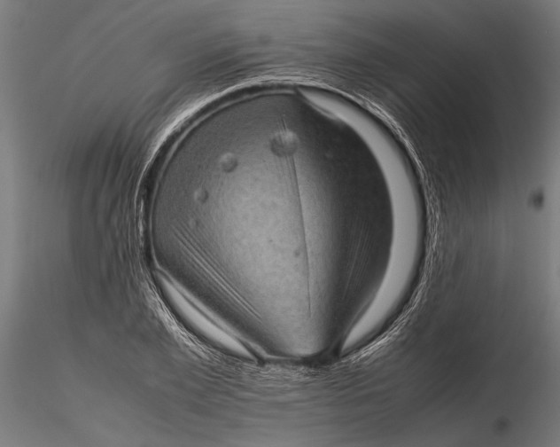 X0000116100981200912140953