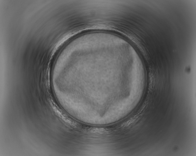 X0000116100982200912140953