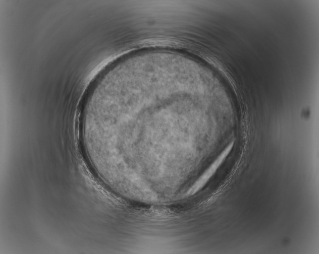 X0000116100983200912140953