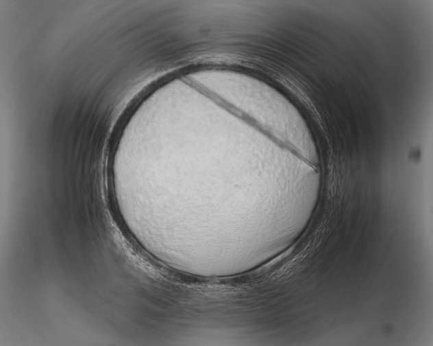 X0000116100984200912140953