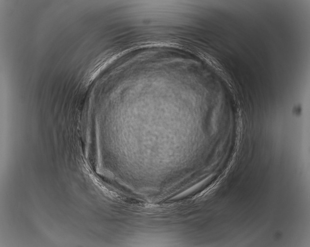 X0000116100985200912140953