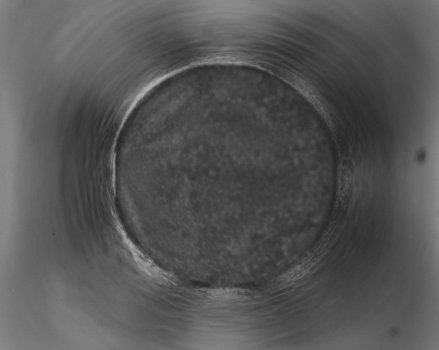 X0000116100988200912140953