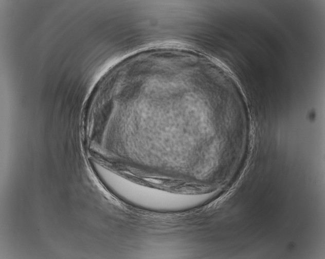 X0000116100989200912140953