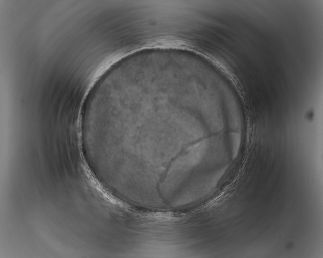 X0000116100990200912140953