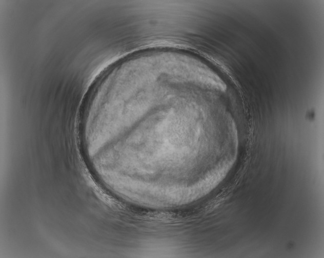 X0000116100991200912140953