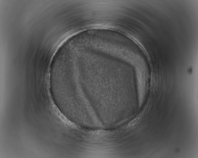 X0000116100992200912140953