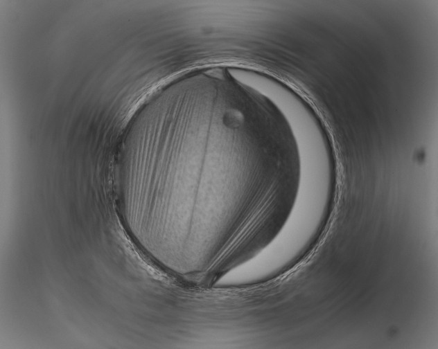 X0000116100993200912140953