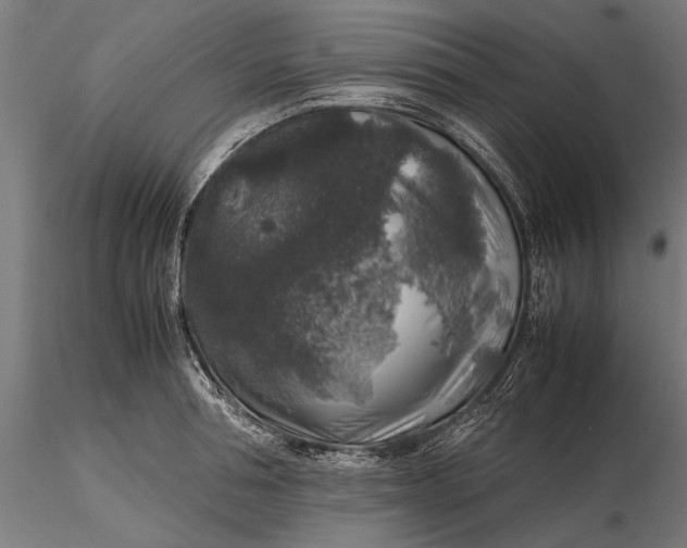 X0000116100994200912140953