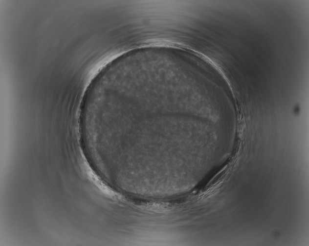 X0000116100995200912140953