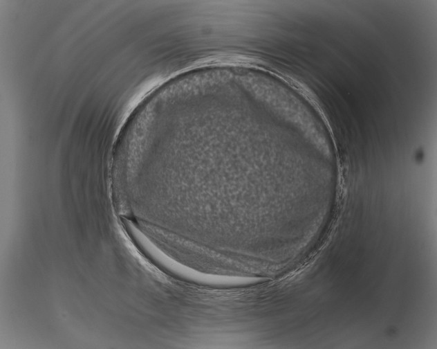 X0000116100997200912140953