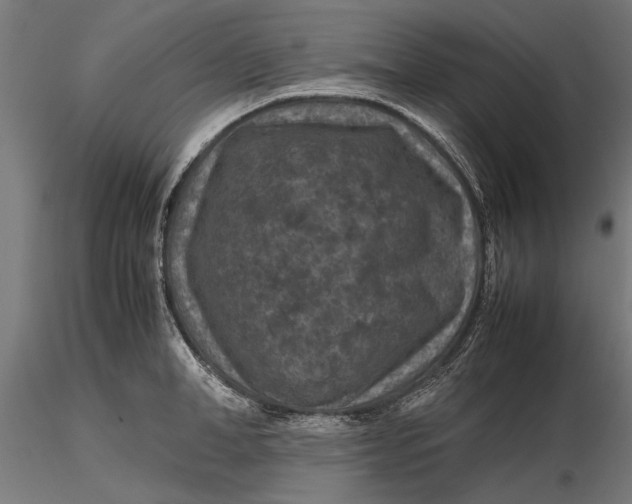 X0000116100998200912140953