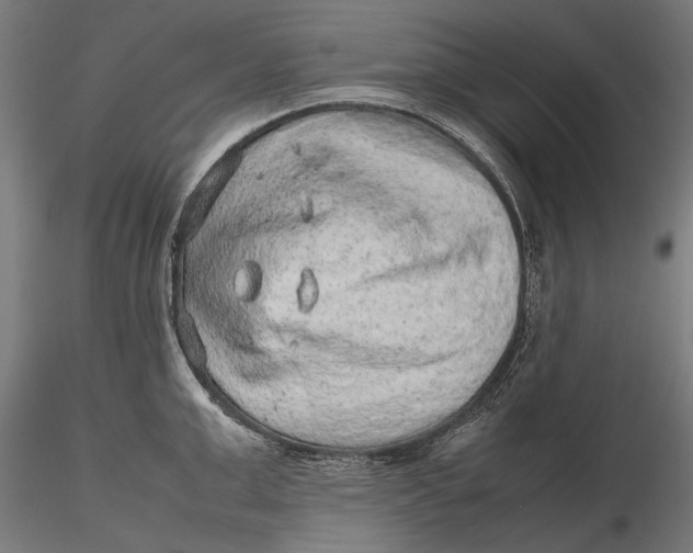 X0000116100999200912140953