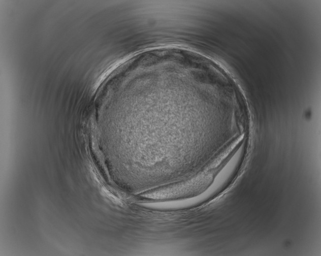 X0000116101001200912140953