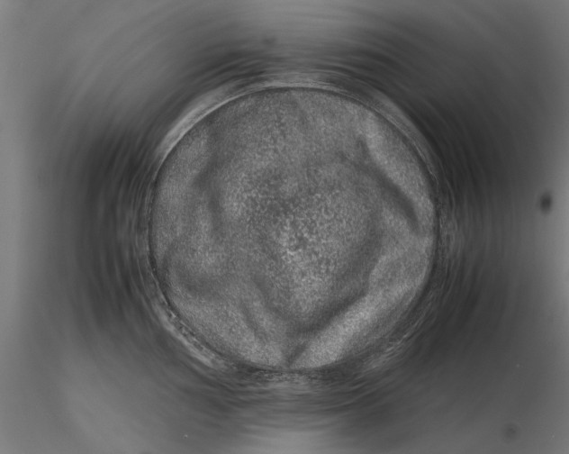 X0000116101002200912140953