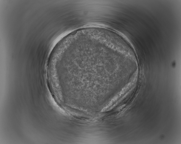 X0000116101003200912140953