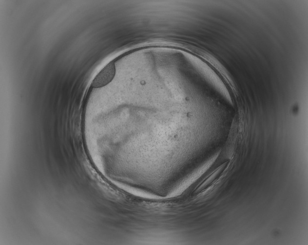 X0000116101004200912140953