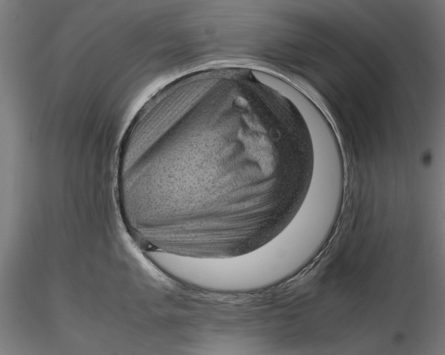 X0000116101005200912140953