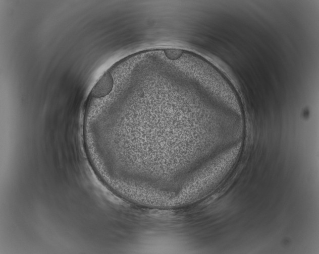 X0000116101006200912140953