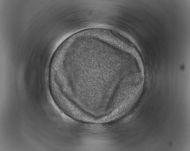 X0000116101007200912140953