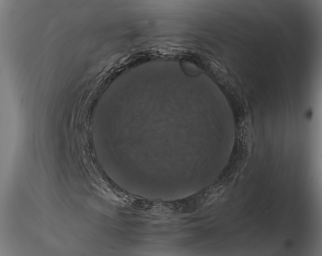 X0000116101009200912140952