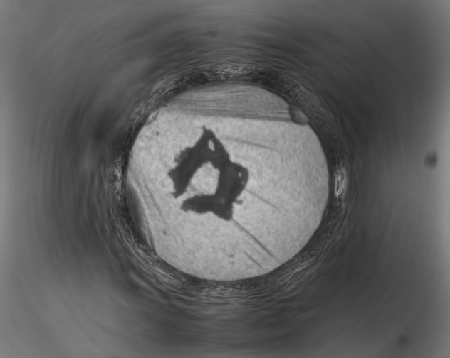 X0000116101011200912140952