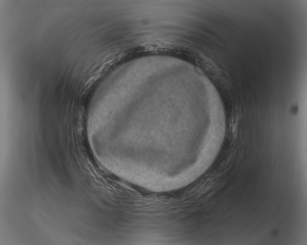 X0000116101012200912140952