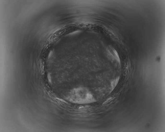 X0000116101013200912140952