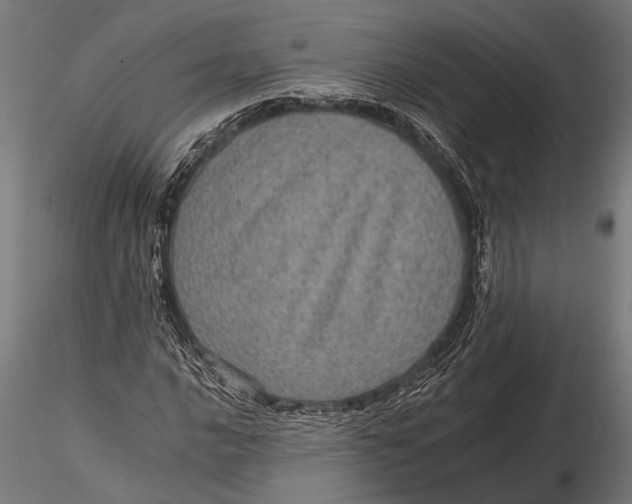 X0000116101016200912140952